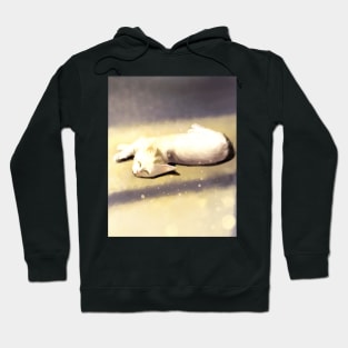 Sleeping White Kitten Hoodie